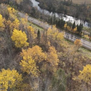 2.00 acres in Radisson, WI (Sawyer County) - APN 004-738-07-4404 (photo 14)